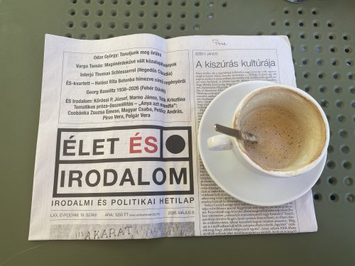 Tökéletesnek tűnik