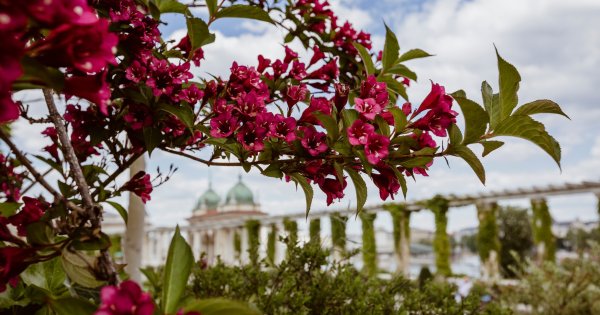 Ők a VárkertFeszt fellépői / PRAE.HU – a művészeti portál