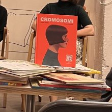 A képeskönyv egy komplex ökoszisztéma