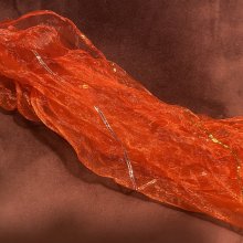 Shiela Leyla Maté Novello: La donna col sari rosso
