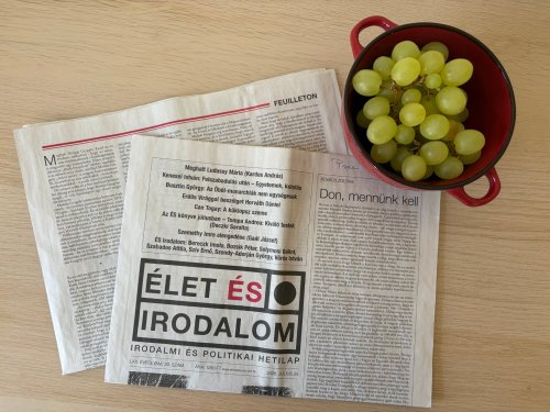 „Köz-zé tett” múlt