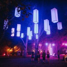 Független művészek bemutatkozója a Szigeten