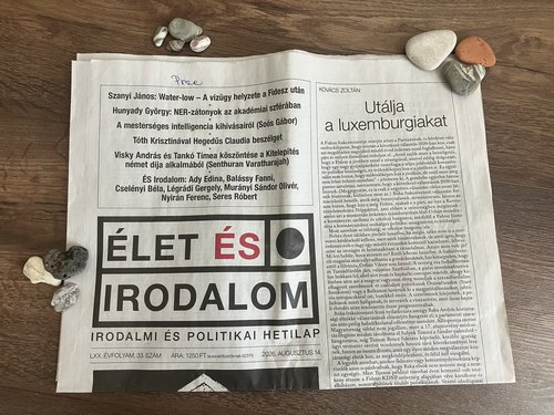 Visszavágyódás
