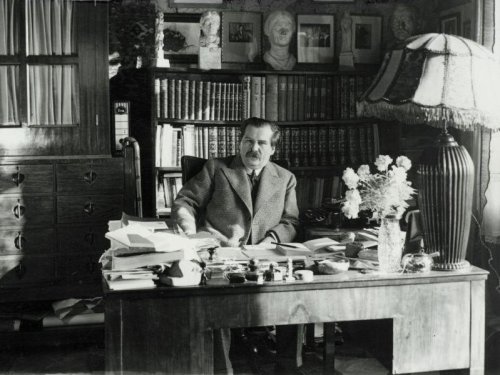 Móricz Zsigmond összevonja a szemöldökét