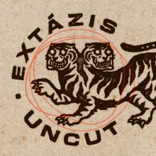 Albumfilm készült Bongor Extázisához
