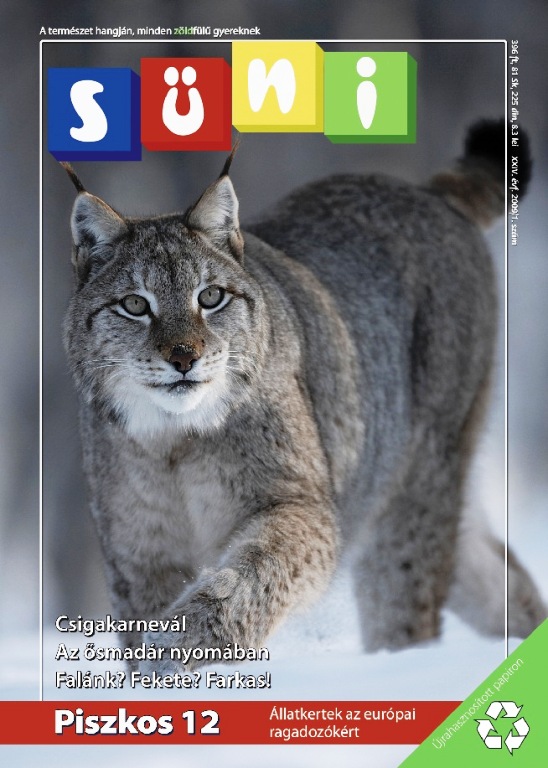süni6