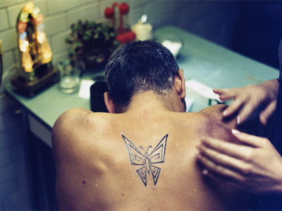 Mr. Butterfly