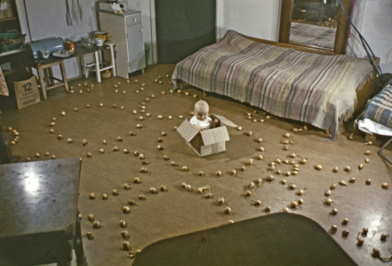 Zofia Kulik/KwieKulik: Foglalkozás Dobromierz-zsel / Activities with Dobromierz, 1972-74 / 2008