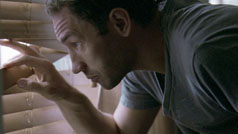 Nash edgerton: Bear