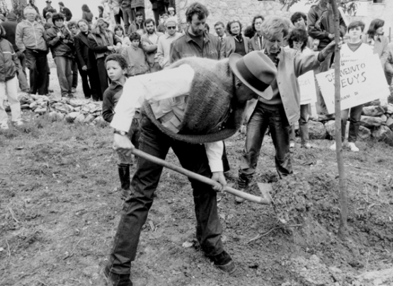 Beuys elülteti az első tölgyfát bolognanói bázisa mellett