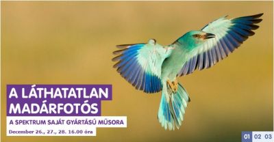 madarfotos
