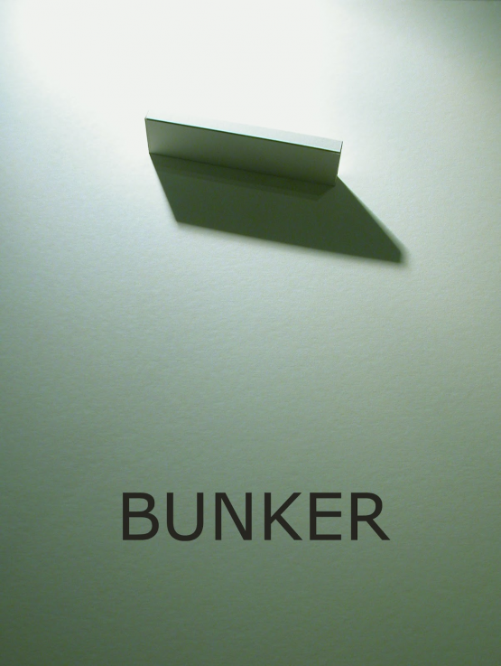 Baglyas Erika: Bunker