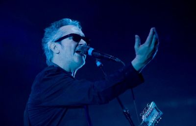 The Mission (Wayne Hussey)