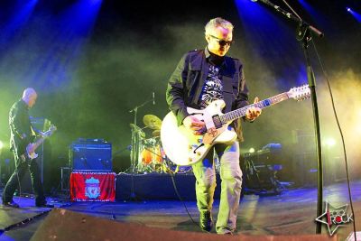 The Mission (Wayne Hussey)