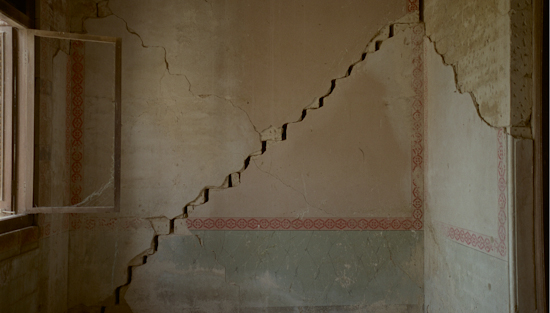 Yellow Patch. 2011.