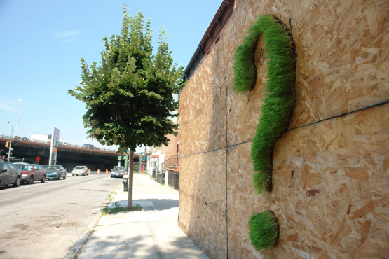 Növénygraffiti Növénygraffiti