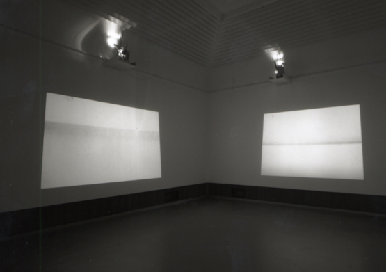 Bruce Naumann