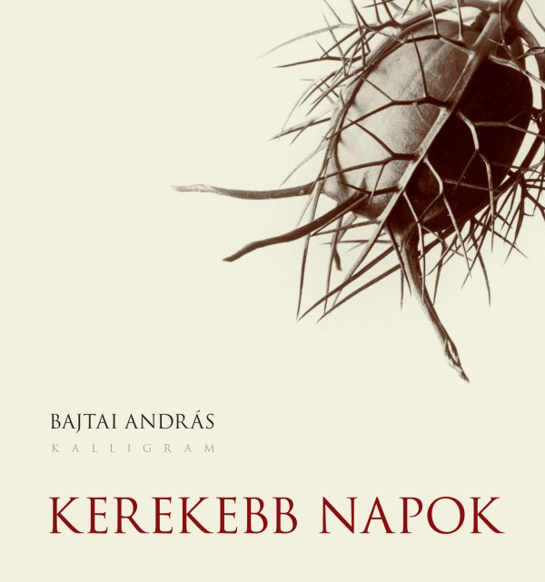 Bajtai András: Kerekebb napok