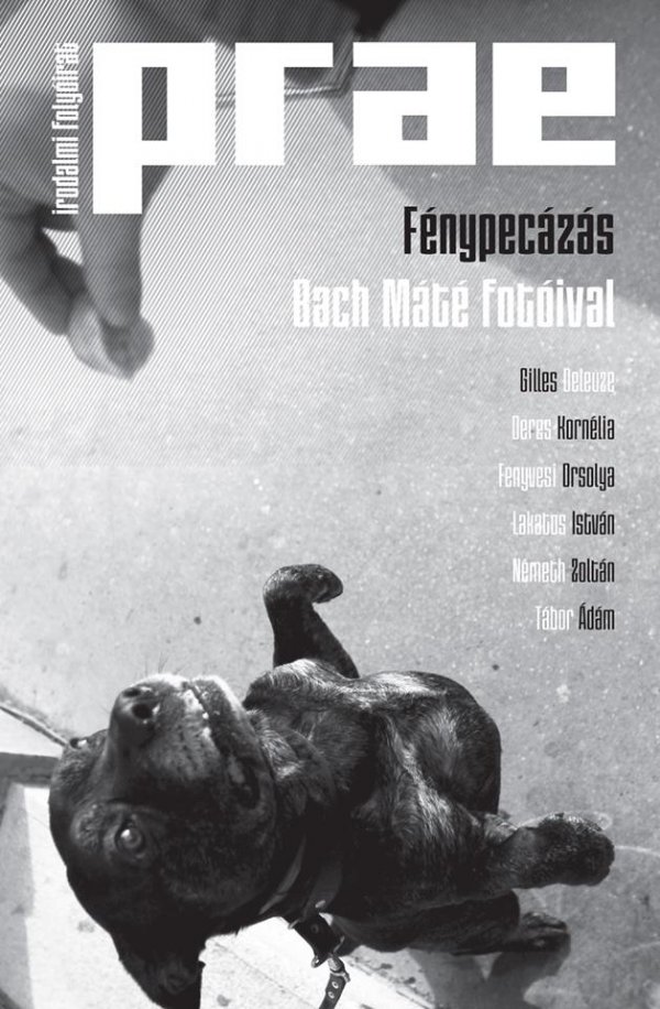 Fénypecázás