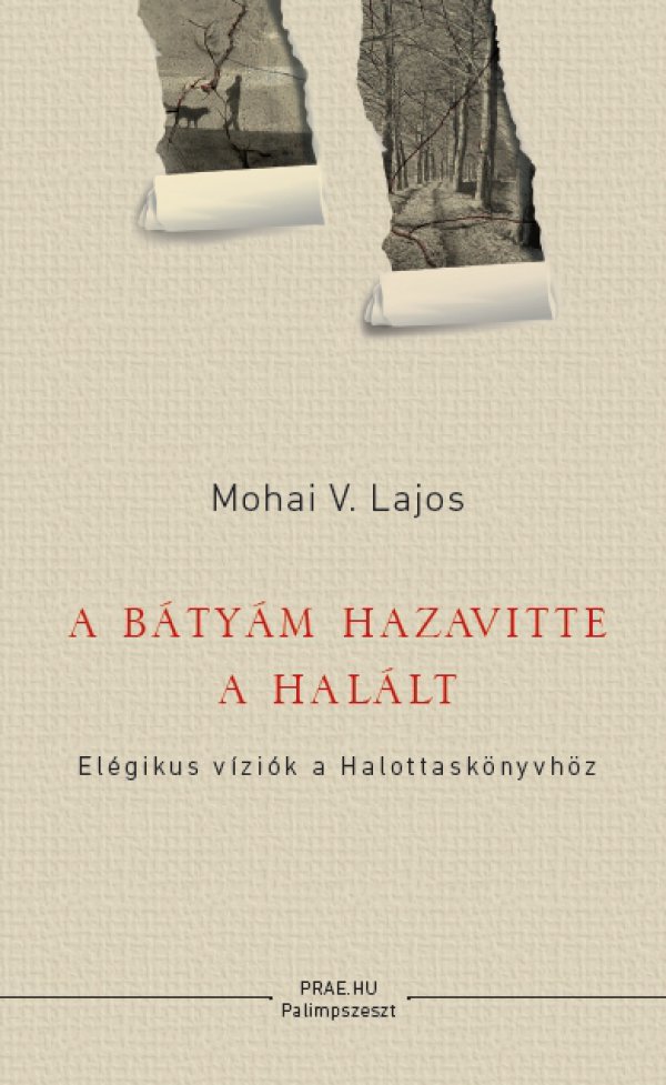 Mohai V. Lajos: A bátyám hazavitte a halált