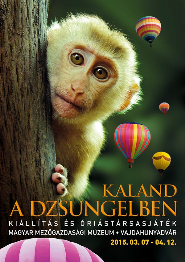 Kaland a dzsungelben