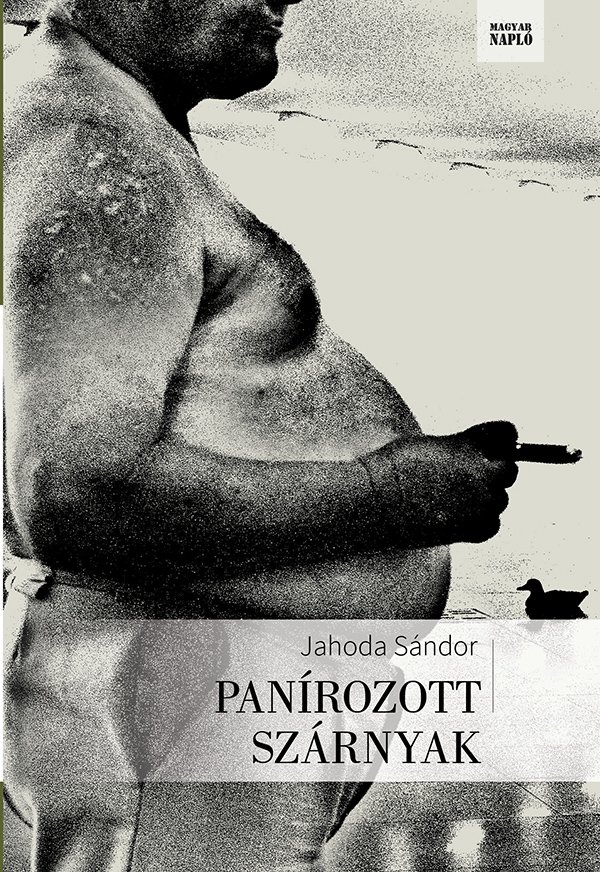 Panírozott szárnyak - könyvborító
