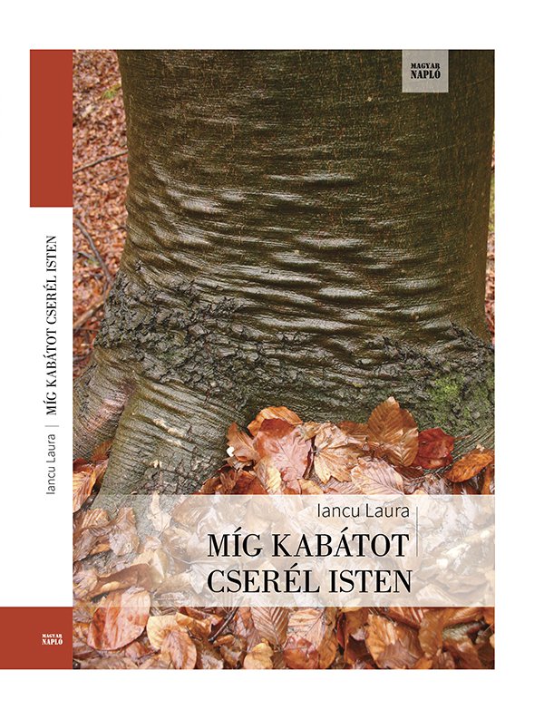 Míg kabátot cserél Isten - könyvborító
