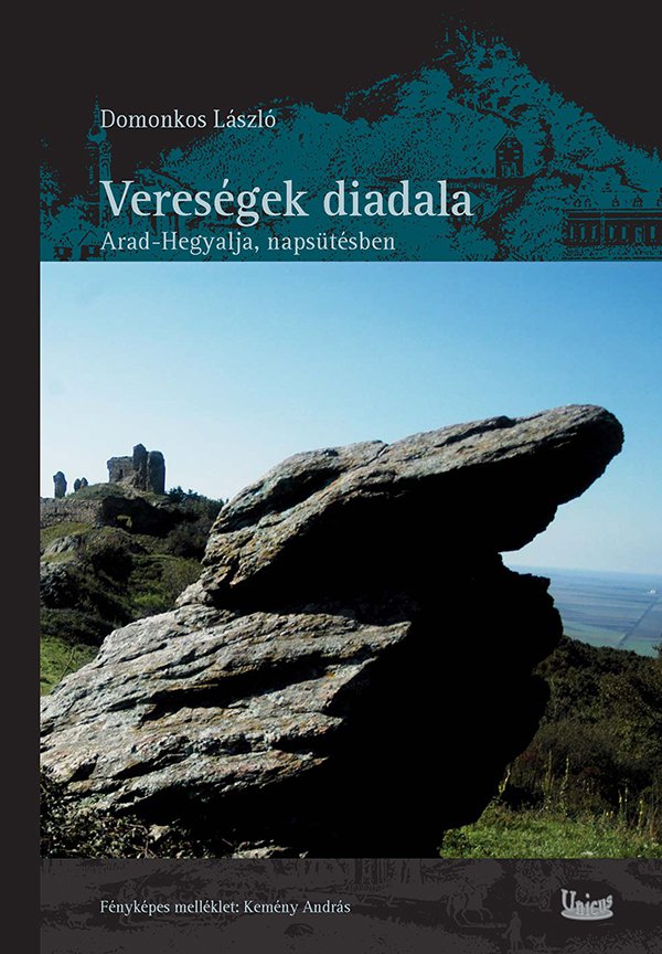 Vereségek diadala - könyvborító