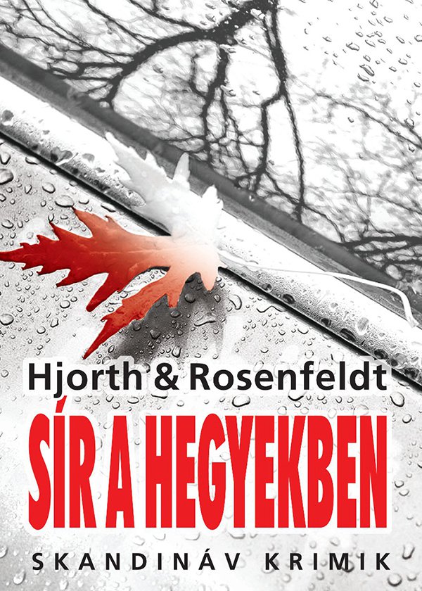 Sír a hegyekben - könyvborító