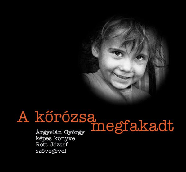 A kőrózsa megfakadt - könyvborító