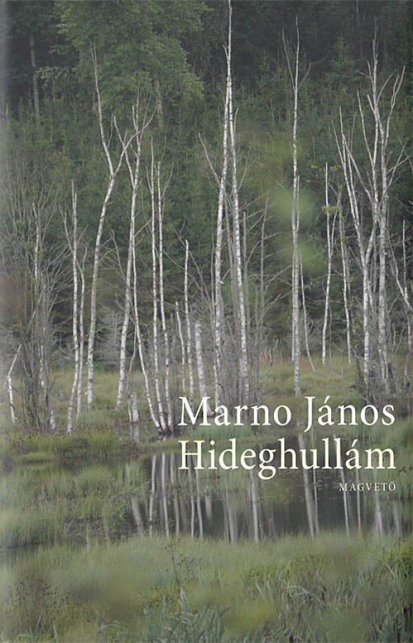 Hideghullám