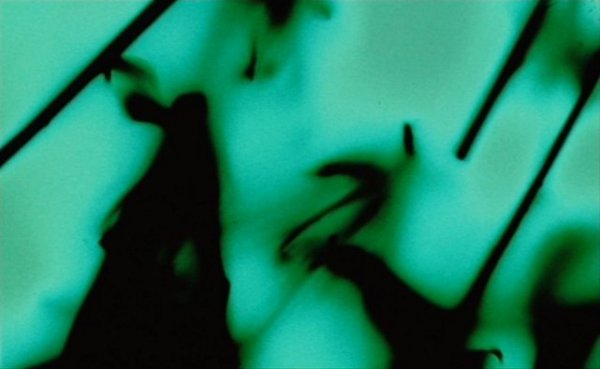 Disorient