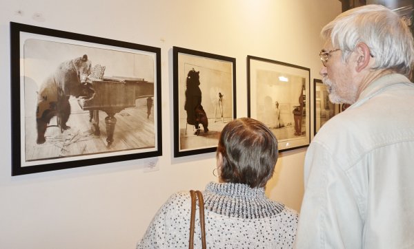 A fotográfia jól teljesített idén