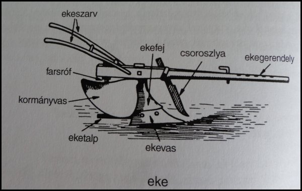 Magyar nyelvjárások