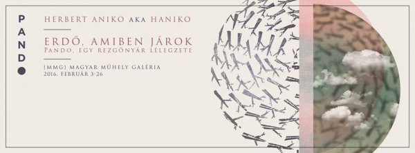 Erdő, amiben járok