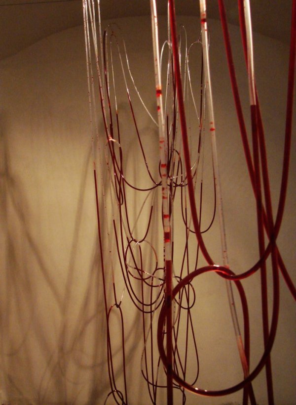 Sipos Marica: Trauma (részlet), 2012, vegyes technika, változó méretek