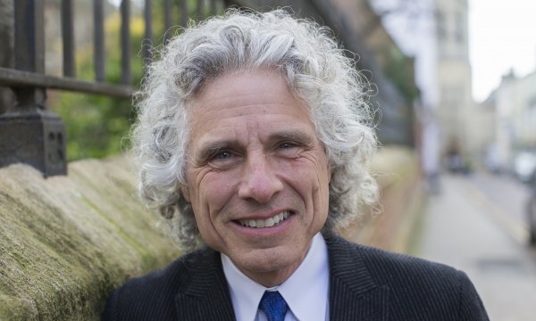 Steven Pinker professzor. Forrás: Spektrum