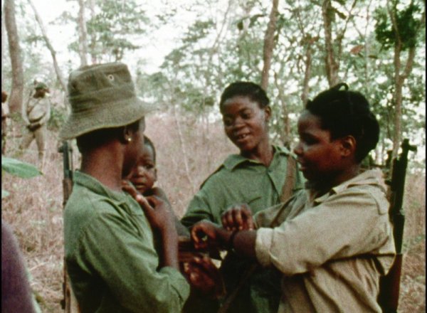 Concerning Violence