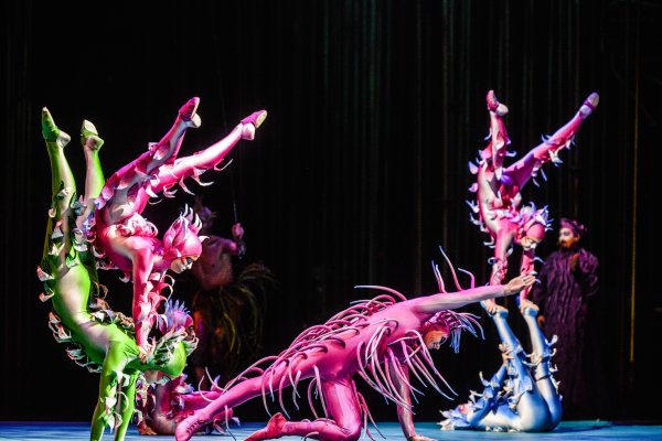 Varekai