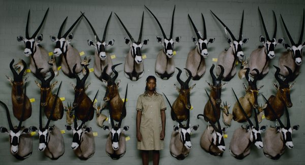 Ulrich Seidl: Szafari - Kép forrása: Cirko Film