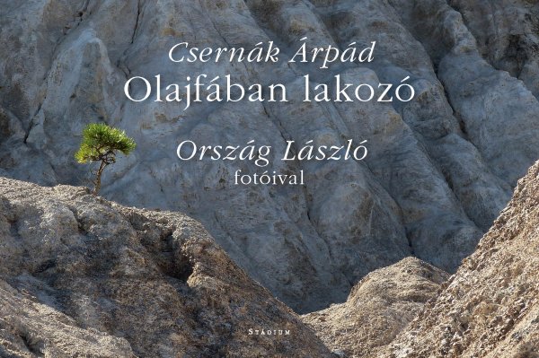 Csernák Árpád Olajfában lakozó – Ország László fotóival