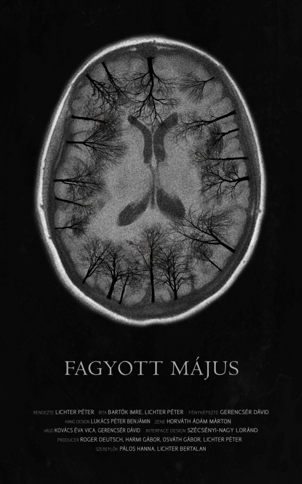 Fagyott május plakát