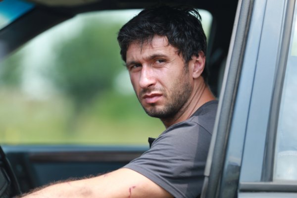 Bogdan Mirica: Kutyák