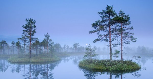 Sven Zacek: Paikeseloojang