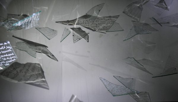 Freund Éva: Glasswege - Salamon Júlia fotója