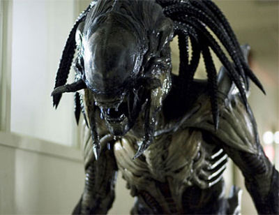avp2_03