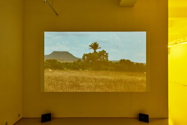 Ana Vaz: Há Terra!, 2016 (16 mm-es filmről átírt HD video, 13') fotó: Biró Dávid