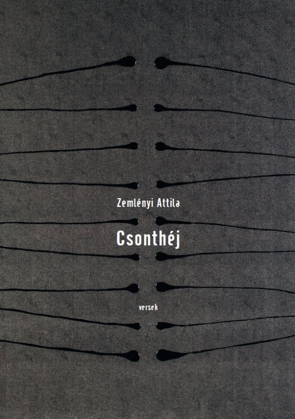 Zemlényi Attila: Csonthéj