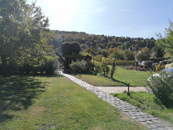 Napsütés
