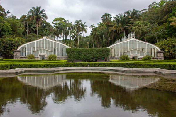 Sao Paulo Botanic Garden